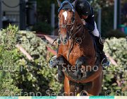 FRANCO Vinco io GioCav2013 S6 7738 : Campionati Italiani Giovani Cavalli, Cattolica, FRANCO Francesco, Vinco io, ph Stefano Secchi ©